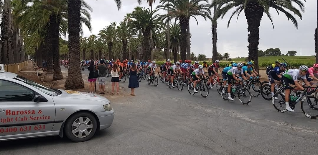 Barossa & Light Cab Service taxi at Seppeltsfield with Tour Down Under peloton racing past