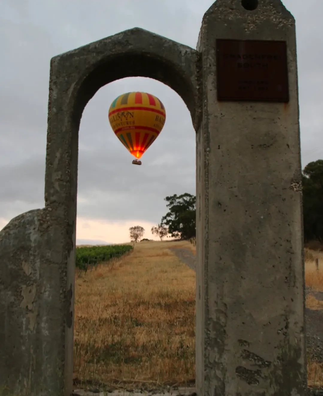 Barossa & Light Cab Service - Hot air balloon transfer service