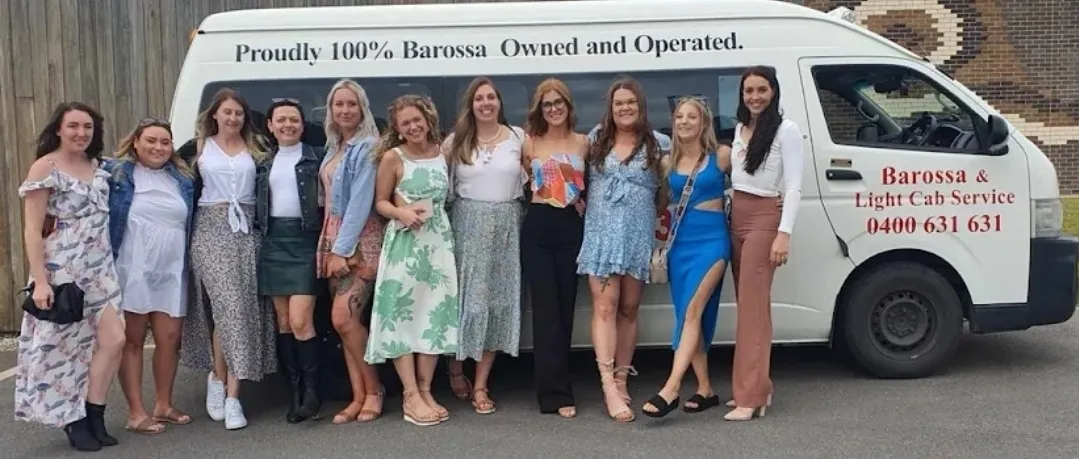 Professional minibus group transport