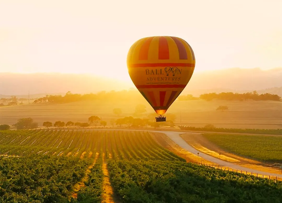 Hot air balloon floating over Barossa Valley vineyards at sunrise - early morning balloon flight experience