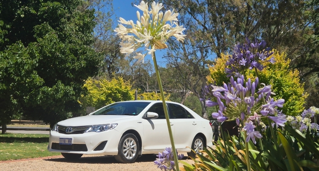 Private Wine Tour McLaren Vale - Coastal Wine Region