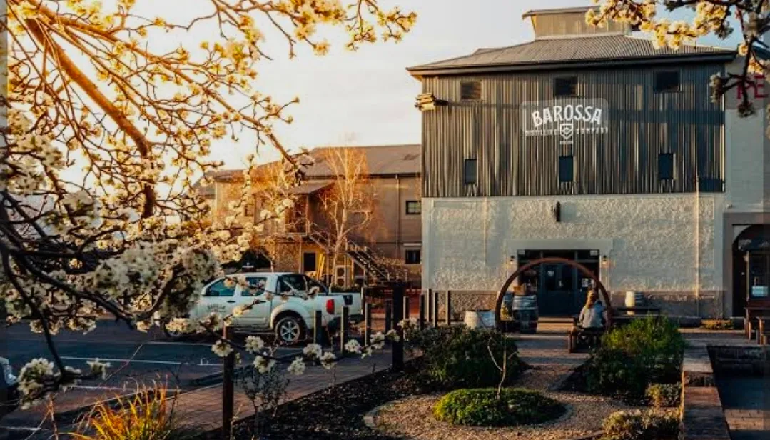 Coulthard Reserve Nuriootpa - local park in Barossa Valley